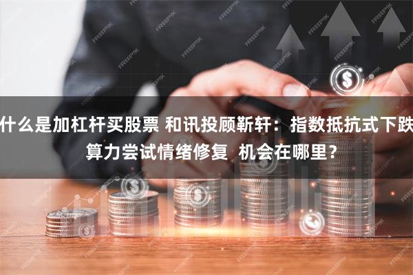 什么是加杠杆买股票 和讯投顾靳轩：指数抵抗式下跌  算力尝试情绪修复  机会在哪里？