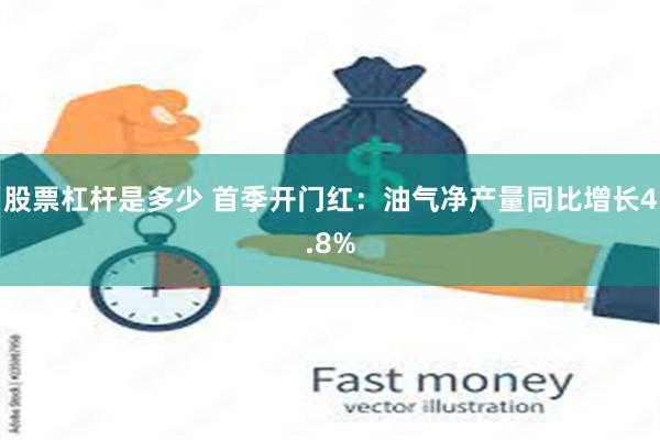 股票杠杆是多少 首季开门红：油气净产量同比增长4.8%