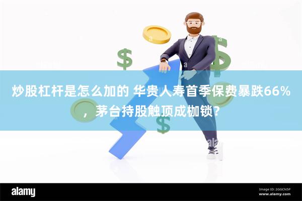 炒股杠杆是怎么加的 华贵人寿首季保费暴跌66%，茅台持股触顶成枷锁？