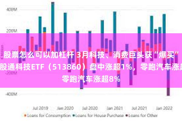 股票怎么可以加杠杆 3月科技、消费巨头获“爆买”，港股通科技ETF（513860）盘中涨超1%，零跑汽车涨超8%