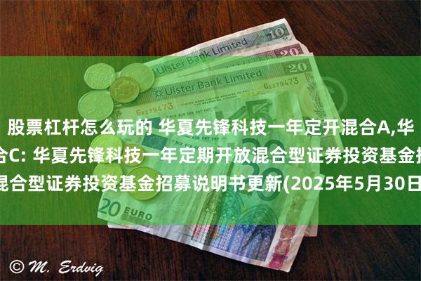股票杠杆怎么玩的 华夏先锋科技一年定开混合A,华夏先锋科技一年定开混合C: 华夏先锋科技一年定期开放混合型证券投资基金招募说明书更新(2025年5月30日公告)