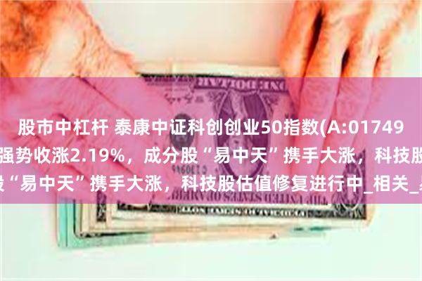 股市中杠杆 泰康中证科创创业50指数(A:017495;C:017496)跟踪指数强势收涨2.19%，成分股“易中天”携手大涨，科技股估值修复进行中_相关_易盛