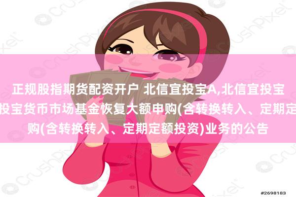 正规股指期货配资开户 北信宜投宝A,北信宜投宝B: 关于北信瑞丰宜投宝货币市场基金恢复大额申购(含转换转入、定期定额投资)业务的公告