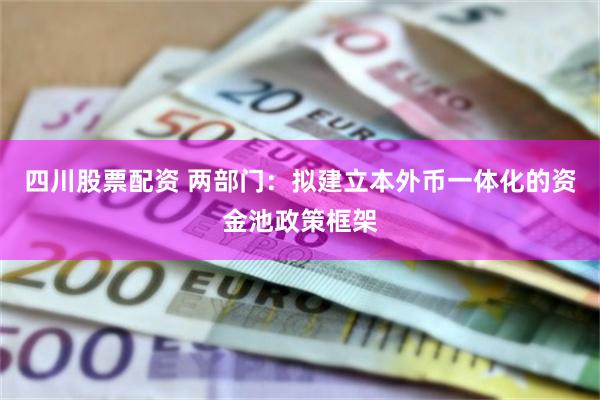 四川股票配资 两部门：拟建立本外币一体化的资金池政策框架